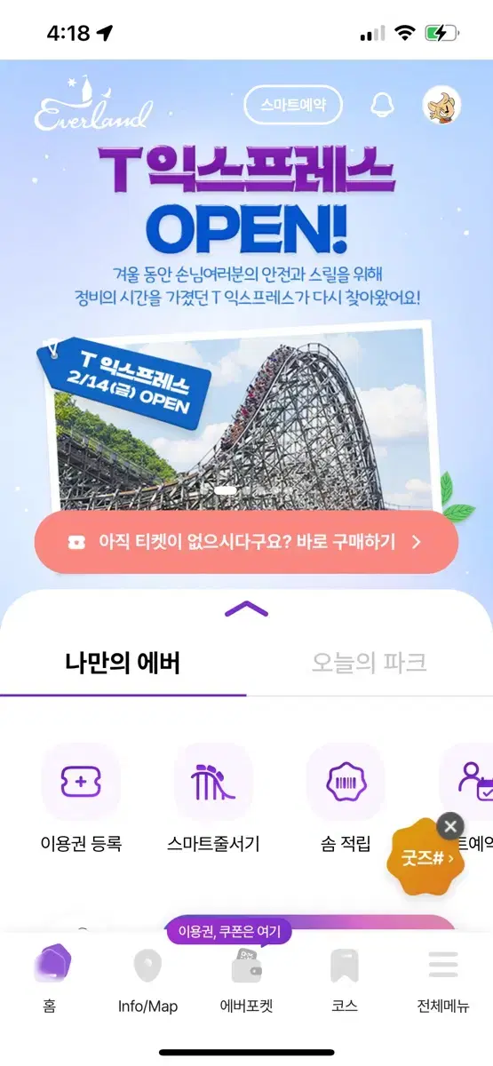 에버랜드 종일권 2매